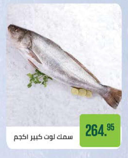 available at سعودي سوبرماركت in Egypt - القاهرة