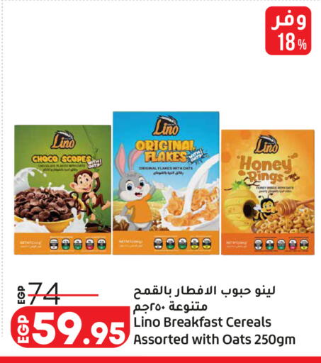 Date available at Lulu Hypermarket  in Egypt - Cairo