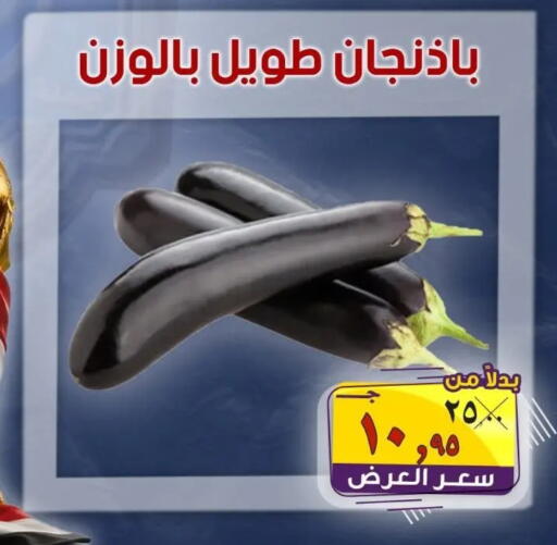available at الصردي جملة ماركت in Egypt - القاهرة