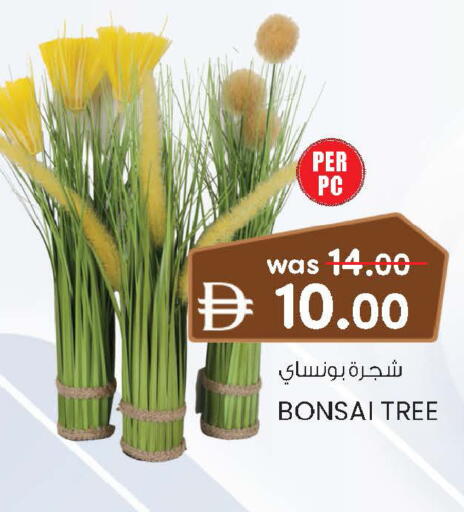 available at صفا اكسبريس سوبرماركت in الإمارات العربية المتحدة , الامارات - أبو ظبي