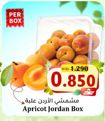 Apricot from Jordan available at Al Muzn Shopping Center in Oman - Muscat