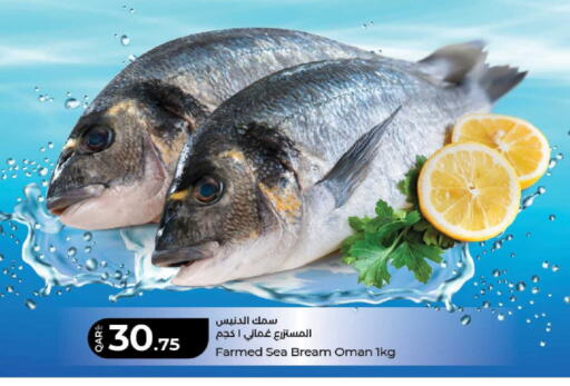 available at لولو هايبرماركت in قطر - الريان