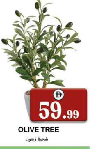 available at Souk Al Mubarak Hypermarket in UAE - Sharjah / Ajman
