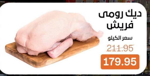 available at بيت الجملة in Egypt - القاهرة