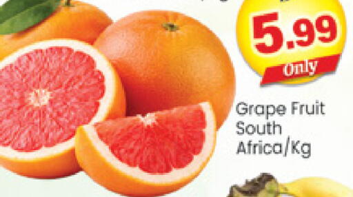 from South Africa available at Al Madina  in UAE - Dubai