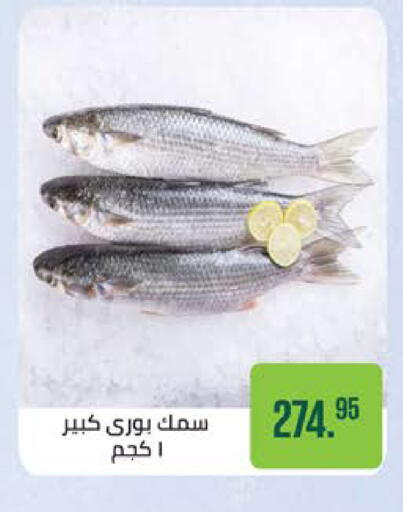 available at سعودي سوبرماركت in Egypt - القاهرة