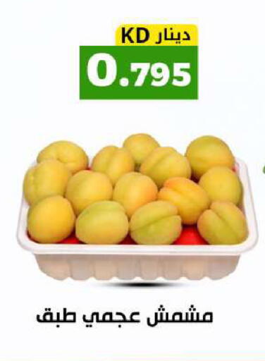 available at Meem Central Market Co in Kuwait - Kuwait City