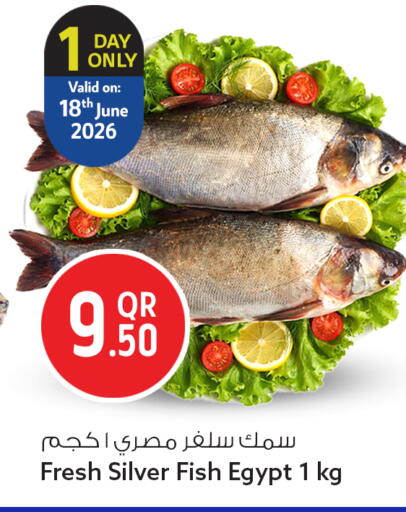 available at سفاري هايبر ماركت in قطر - أم صلال