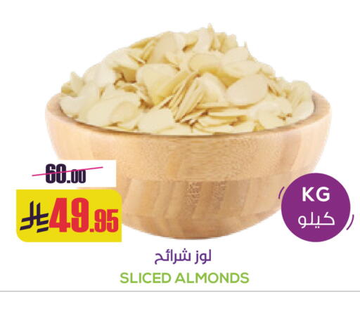 available at سبت in مملكة العربية السعودية, السعودية, سعودية - بريدة