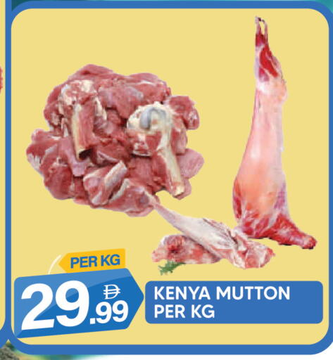 available at دريم لاند in الإمارات العربية المتحدة , الامارات - دبي