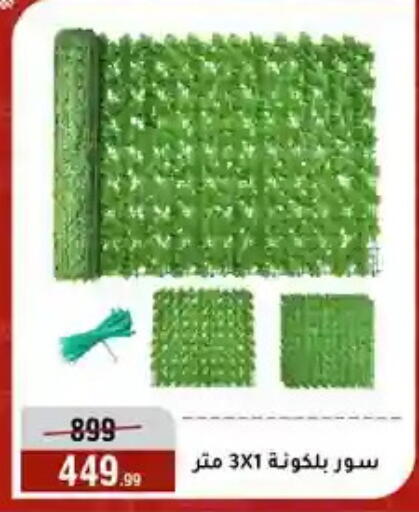 available at Al Morshedy  in Egypt - Cairo