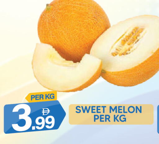 Melon available at دريم لاند in الإمارات العربية المتحدة , الامارات - دبي