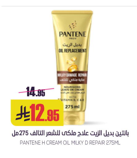 available at سبت in مملكة العربية السعودية, السعودية, سعودية - بريدة