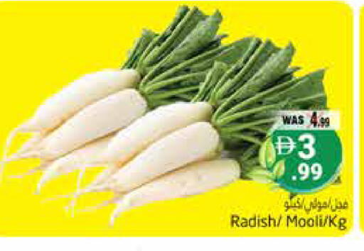 Radish available at Pasons Hypermarket in UAE - Al Ain