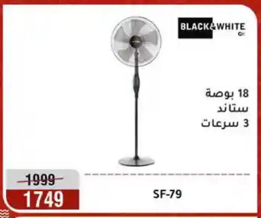 available at Al Morshedy  in Egypt - Cairo