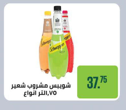 available at سعودي سوبرماركت in Egypt - القاهرة