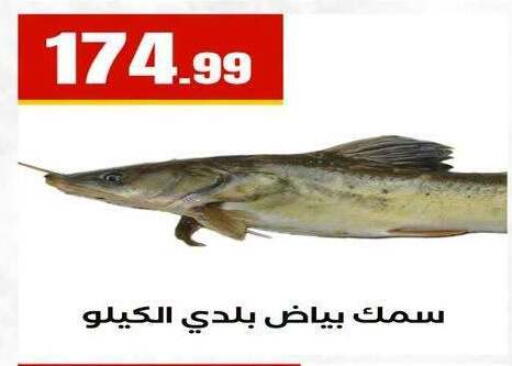 available at MartVille in Egypt - Cairo