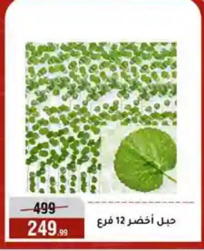 available at المرشدي in Egypt - القاهرة