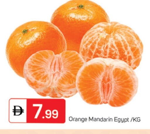 Orange Mandarin from Egypt available at سوق طلال in الإمارات العربية المتحدة , الامارات - الشارقة / عجمان