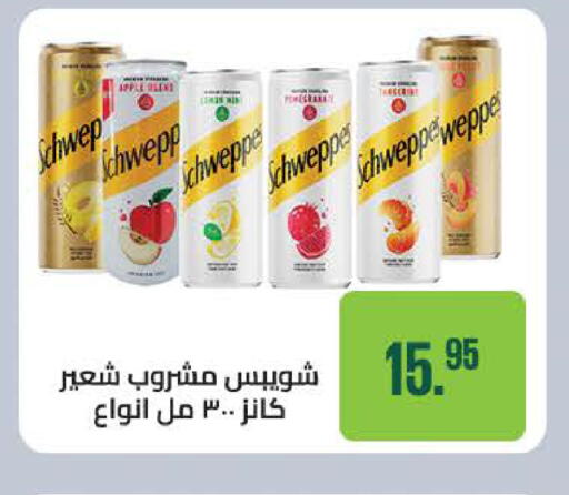 Apple available at سعودي سوبرماركت in Egypt - القاهرة