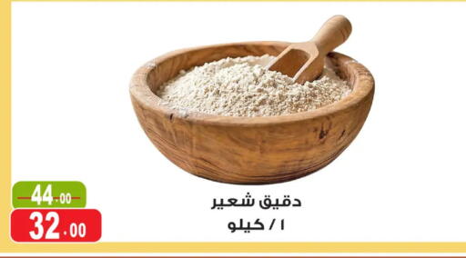 available at غنيم ماركت in Egypt - القاهرة