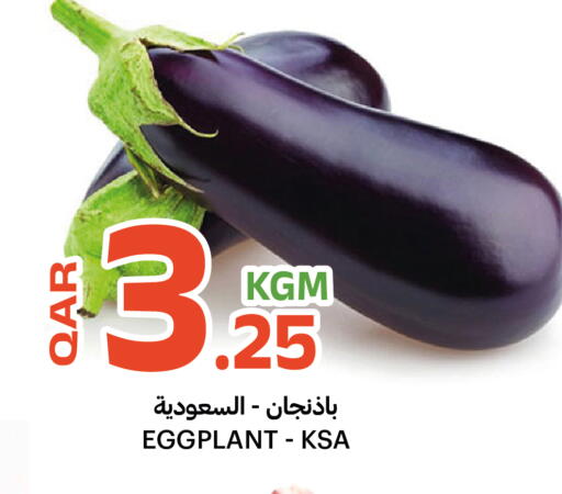 Eggplant available at البلدي اليوم in قطر - الشمال