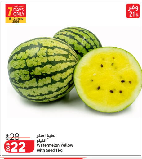 Watermelon available at Lulu Hypermarket  in Egypt - Cairo