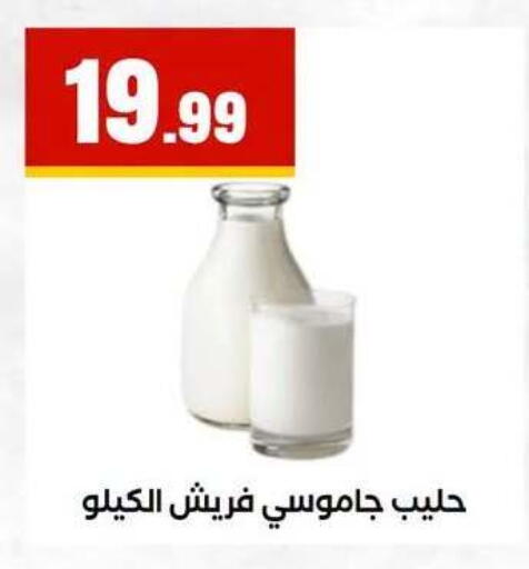 available at مارت فيل in Egypt - القاهرة