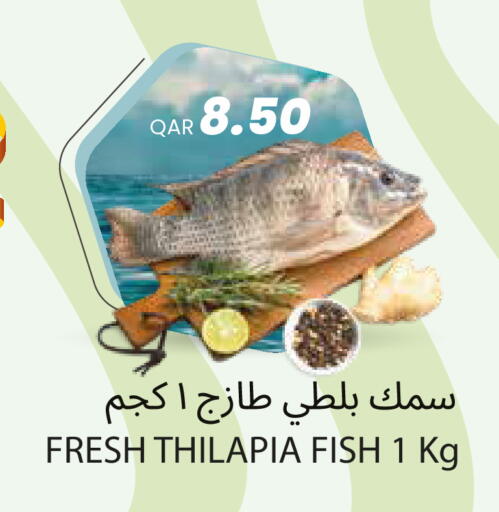 available at مجموعة ريجنسي in قطر - الشمال