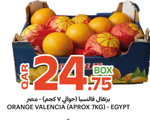 Orange from Egypt available at البلدي اليوم in قطر - الشمال