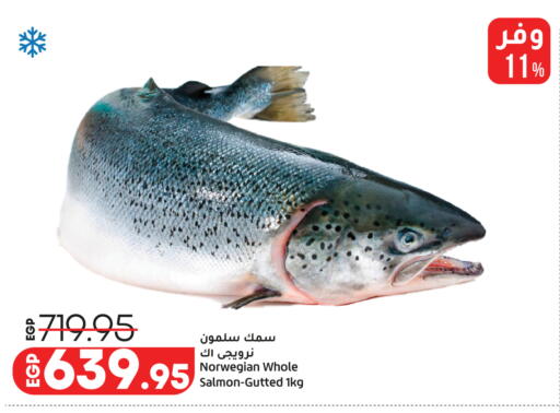 available at Lulu Hypermarket  in Egypt - Cairo