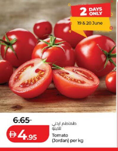 Tomato from Jordan available at Lulu Hypermarket in UAE - Al Ain