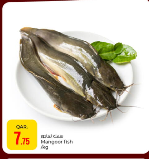 available at باريس هايبرماركت in قطر - أم صلال