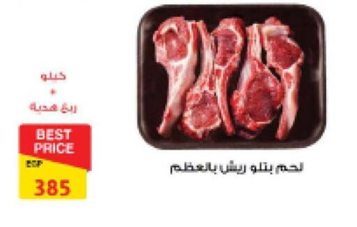 available at فتح الله in Egypt - القاهرة