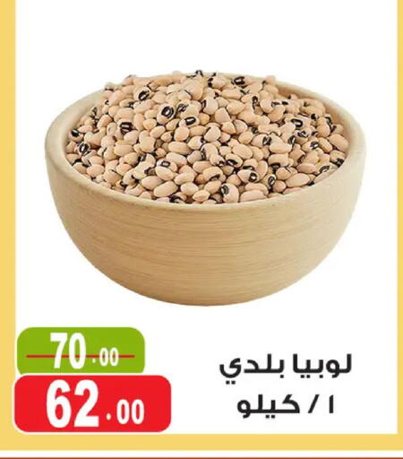 available at غنيم ماركت in Egypt - القاهرة
