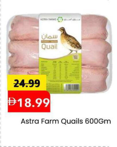 available at Mark & Save in UAE - Sharjah / Ajman