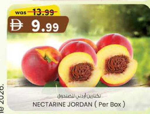 Nectarine from Jordan available at K M Trading  in UAE - Sharjah / Ajman