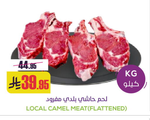 available at سبت in مملكة العربية السعودية, السعودية, سعودية - بريدة