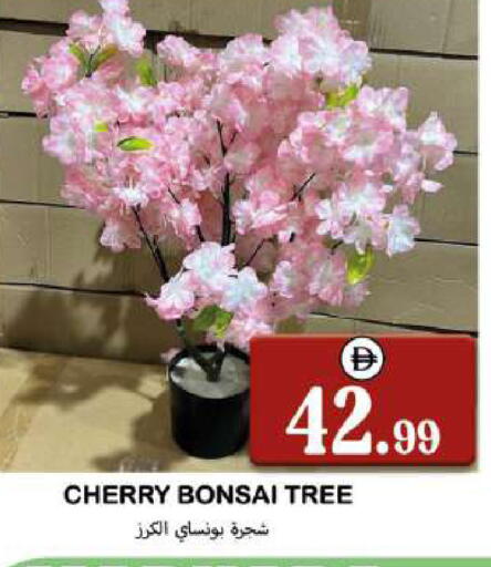 Cherry available at Souk Al Mubarak Hypermarket in UAE - Sharjah / Ajman
