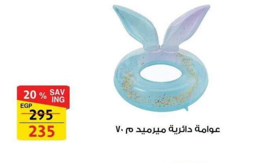 available at Fathalla Market  in Egypt - Cairo