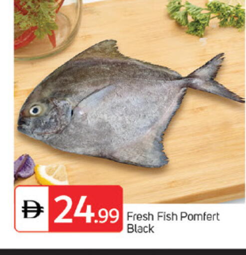 available at سوق طلال in الإمارات العربية المتحدة , الامارات - الشارقة / عجمان