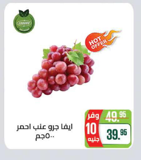 available at سعودي سوبرماركت in Egypt - القاهرة