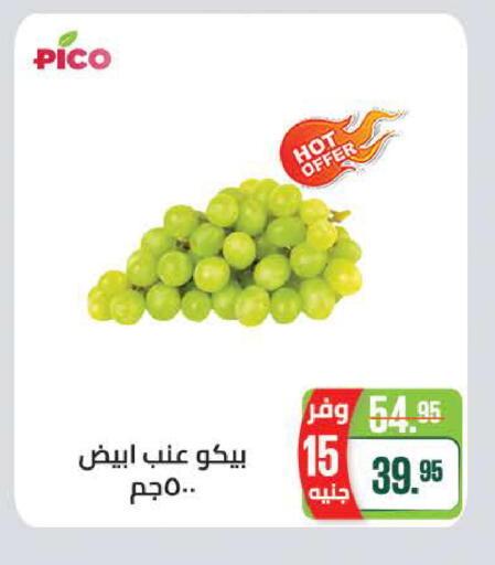available at سعودي سوبرماركت in Egypt - القاهرة