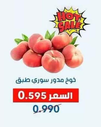 available at جمعية ضاحية عبدالله السالم والمنصورية التعاونية in الكويت - مدينة الكويت
