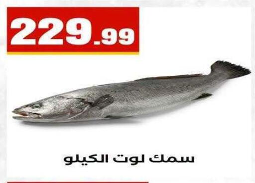 available at MartVille in Egypt - Cairo