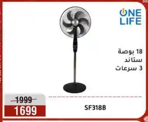 available at Al Morshedy  in Egypt - Cairo