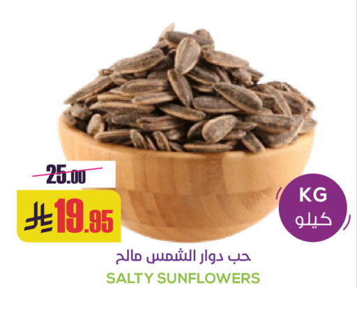 available at سبت in مملكة العربية السعودية, السعودية, سعودية - بريدة
