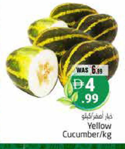 Cucumber available at Pasons Hypermarket in UAE - Al Ain