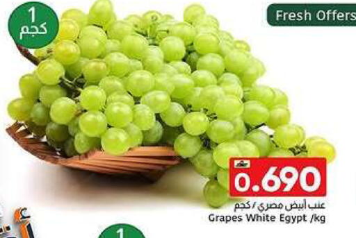 Grapes from Egypt available at مركز العامري in عُمان - صُحار‎