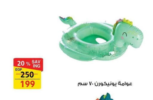 available at Fathalla Market  in Egypt - Cairo